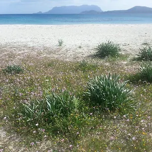 Maestrale Olbia